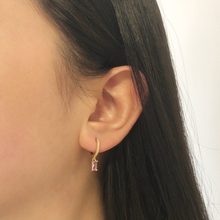 Load image into Gallery viewer, Nella's Huggies