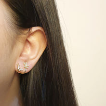 Load image into Gallery viewer, Olivia&#39;s Earrings
