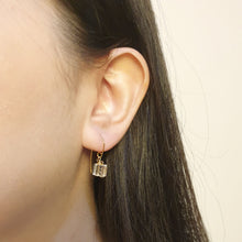 Load image into Gallery viewer, Jenna Earrings
